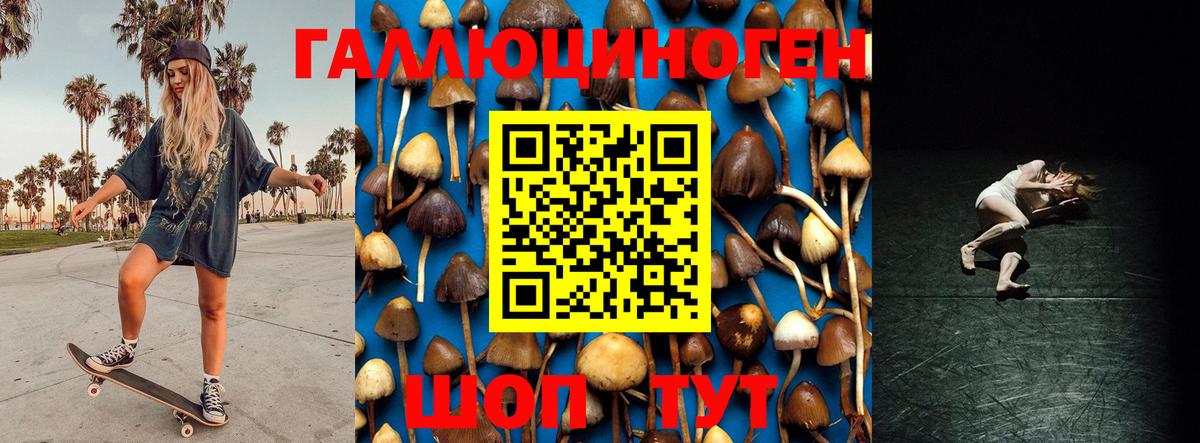 Алейск  Псилоцибиновые грибы Cubensis  Вход с VPN 