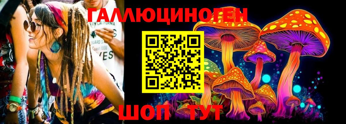 Псилоцибиновые грибы Psilocybine cubensis Алейск